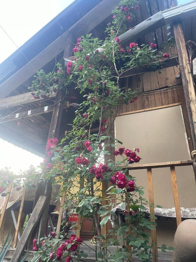 예레반 Grig 빌라 외부 사진